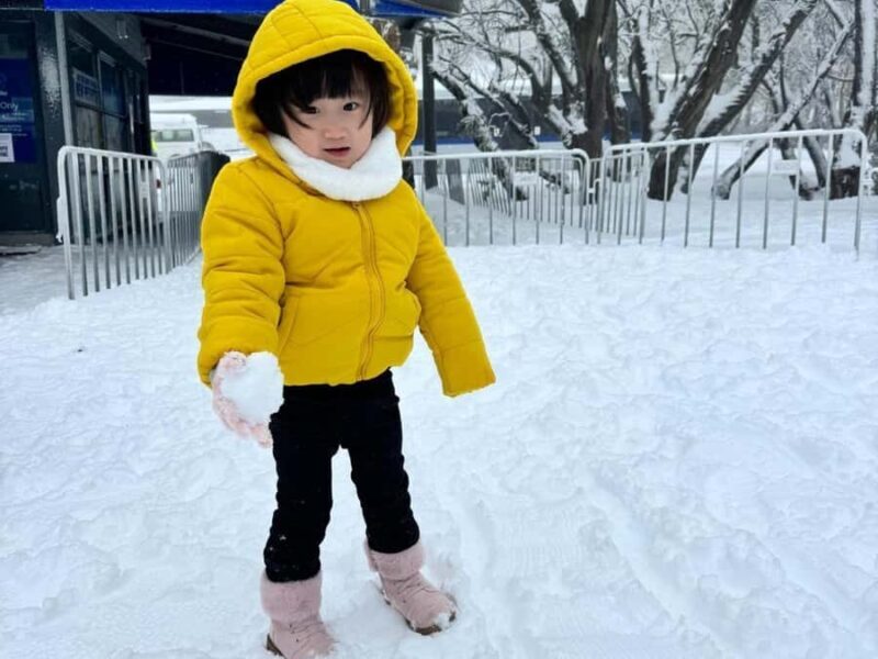 Melbourne: Mt Buller Day Trip with Yarra Valley Chocolaterie - Key Points