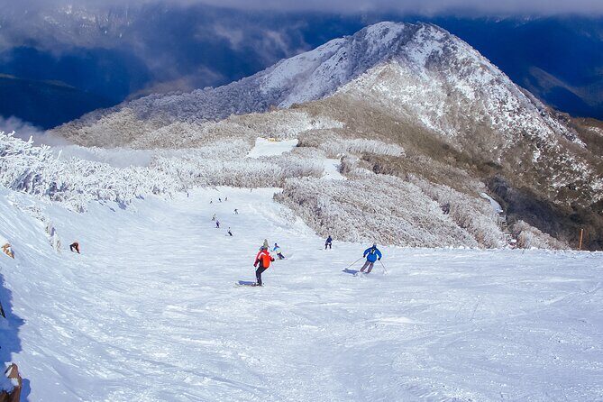 Melbourne: Mt Buller Snow Getaway Day Trip (6 Hours Fun on Snow) - Overview of the Mt Buller Snow Day Trip
