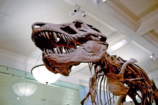 Melbourne Museum Entry Ticket - Who Should Consider This Tour?