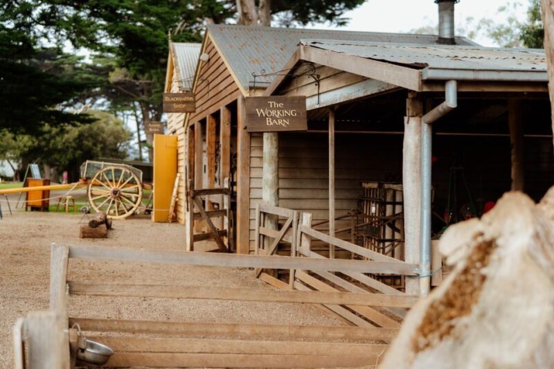 Melbourne: Penguin Parade & Churchill Island Farm Tour - The Sum Up