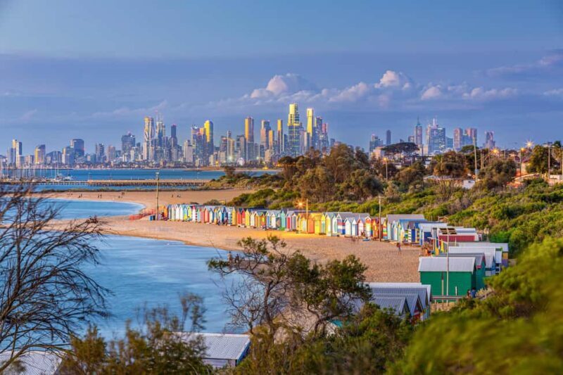 Melbourne: Penguin Parade , Koala & Brighton Bathing Boxes - Transportation & Practicalities
