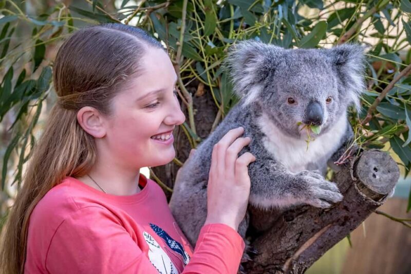 Melbourne: Penguin Parade & Phillip Island Scenic Day Tour - FAQs