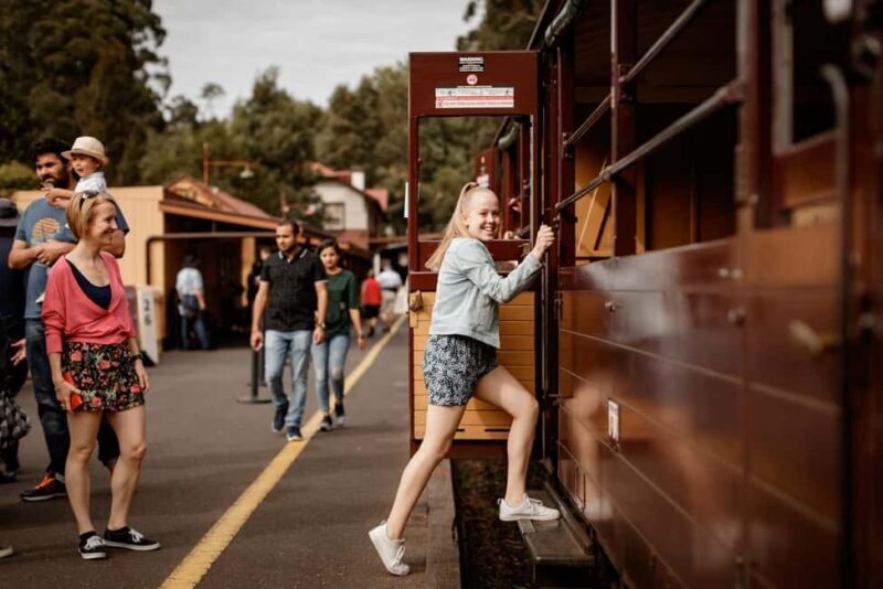 Melbourne: Penguin Parade Tour with Puffing Billy Train Ride - An In-Depth Look at the Tour Experience