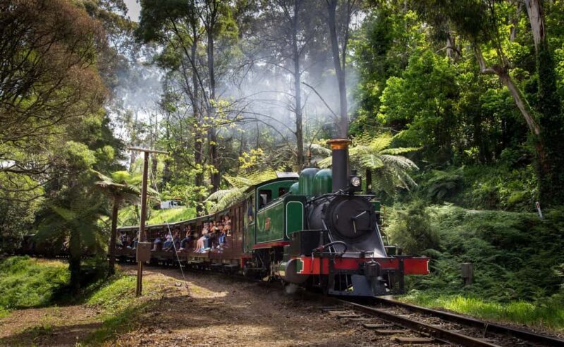 Melbourne: Penguin Parade Tour with Puffing Billy Train Ride - Tips for Making the Most of the Tour