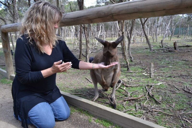 Melbourne: Peninsula Nature Private Day Trip with Dinner - Key Points