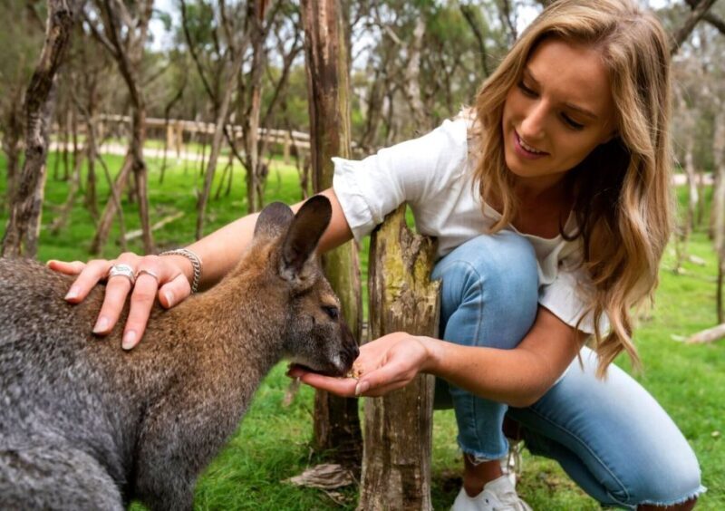 Melbourne: Peninsula Nature Private Day Trip with Dinner - The Value of This Experience