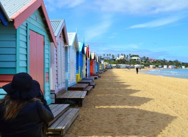 Melbourne: Peninsula Sightseeing Driving Day Tour - Transport, Comfort, and Value