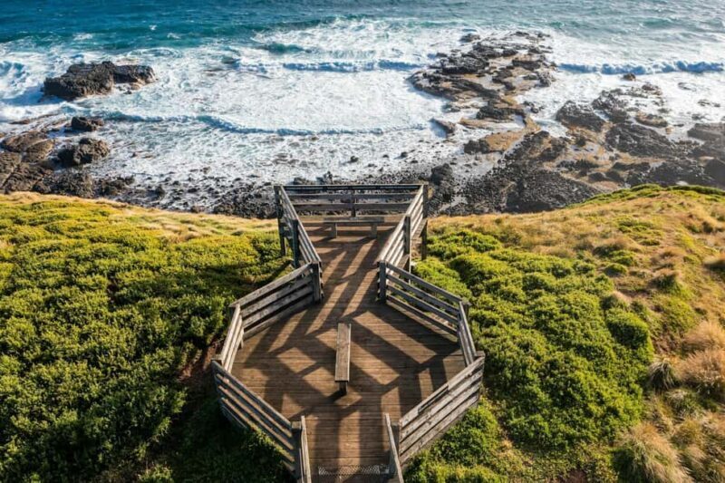 Melbourne: Phillip Island Penguin Parade Watching Day Tour - Key Points