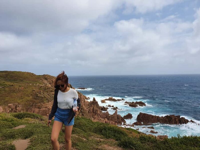 Melbourne: Phillip Island Penguins, Koalas & Hike Tour - The Sum Up