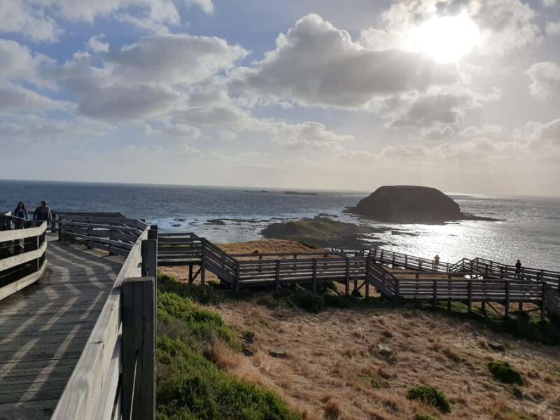 Melbourne: Phillip Island Penguins, Koalas & Hike Tour - FAQ