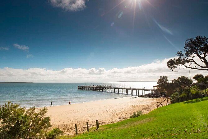 Melbourne Phillip Island Private Tour with Penguin - Key Points