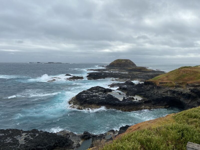Melbourne: Phillip Island Tour & Penguin Parade - An Overview of the Phillip Island Tour Experience