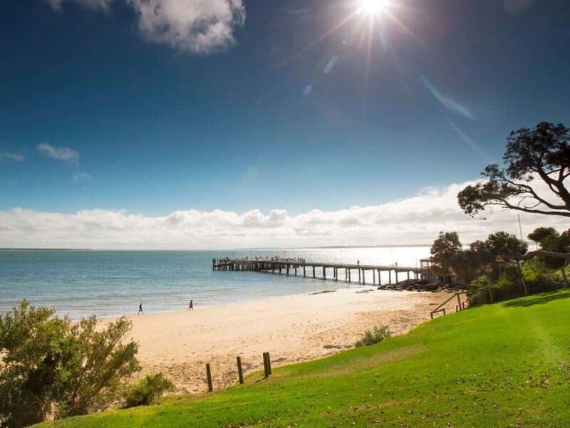 Melbourne: Phillip Island Tour w/ Hop-on Bus or Seal Cruise - Key Points