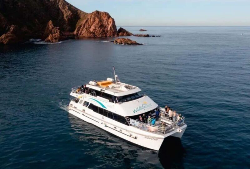 Melbourne: Phillip Island Tour w/ Hop-on Bus or Seal Cruise - Who Will Love This Tour?