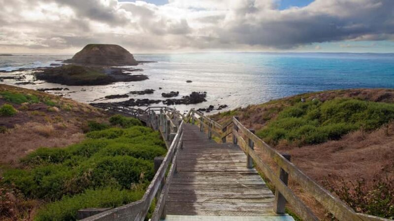 Melbourne: Phillip Island Tour with Koalas & Penguins - Introduction to the Phillip Island Experience