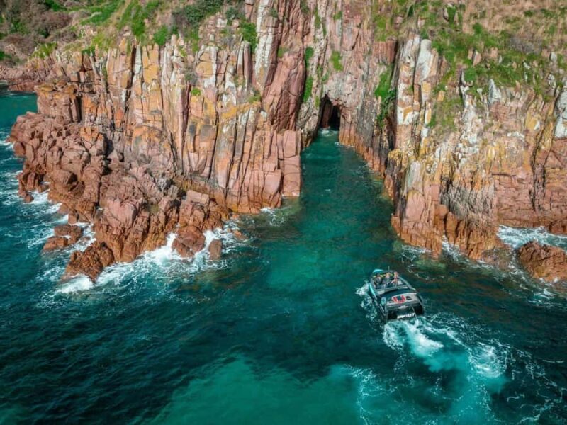 Melbourne: Phillip Island Tour with Koalas & Penguins - What Makes This Tour Stand Out?