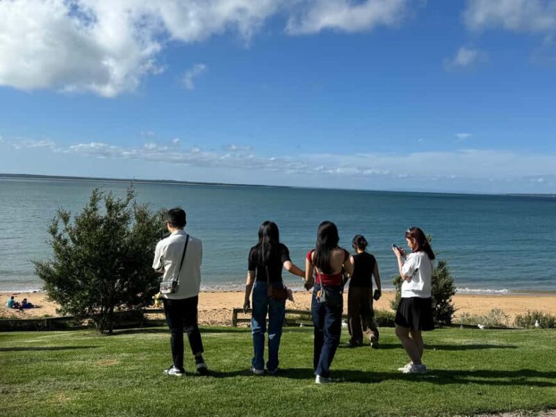 Melbourne: Private Phillip Island Penguin Parade Tours - Transportation and Comfort