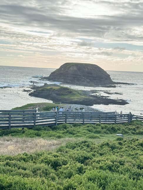 Melbourne: Private Phillip Island Penguin Parade Tours - Pricing and Value