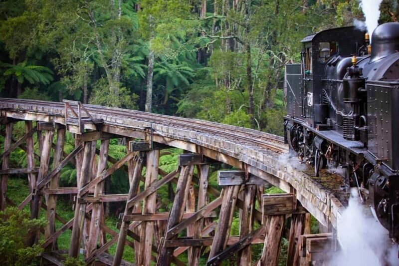Melbourne: Private Puffing Billy Steam Train Ride - Scenic Village Stops: Sassafras and Olinda
