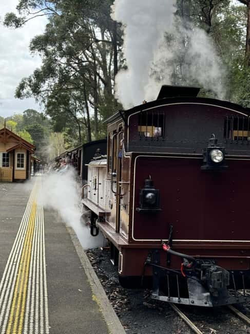 Melbourne: Private Puffing Billy Steam Train Ride - Who Should Consider This Tour?