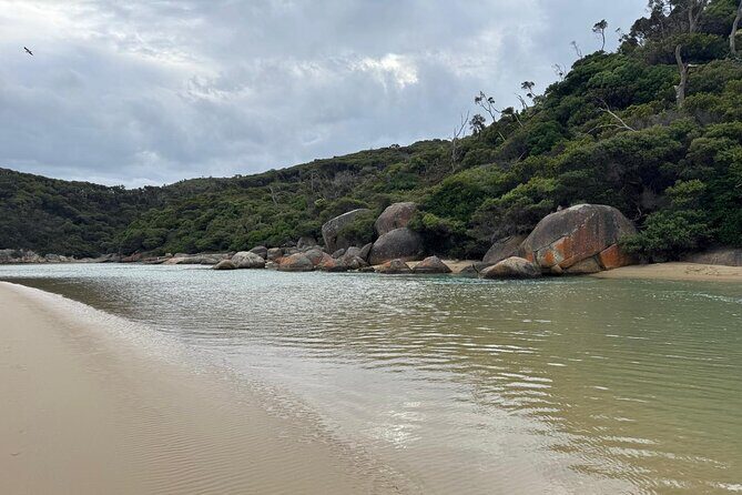 Melbourne: Private Wilson Promontory National Park Day Tours - An In-Depth Look at the Tour