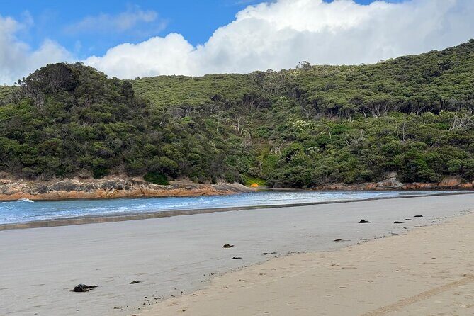 Melbourne: Private Wilson Promontory National Park Day Tours - Final Thoughts: Who Is This Tour Perfect For?