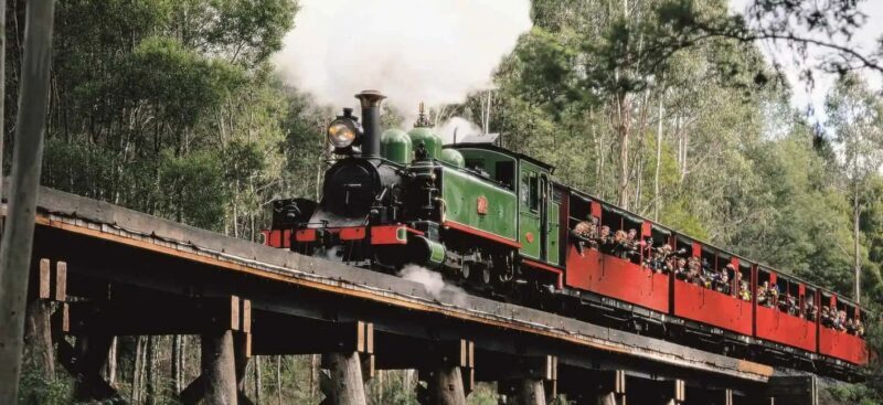 Melbourne: Puffing Billy and Moonlit Sanctuary Day Tour - Key Points