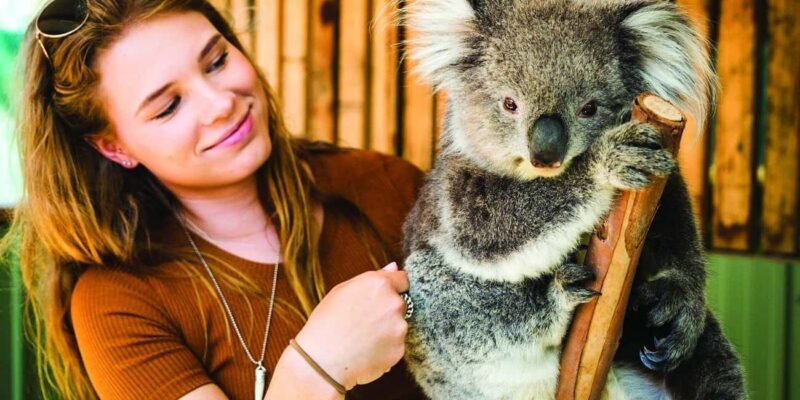 Melbourne: Puffing Billy and Moonlit Sanctuary Day Tour - FAQs