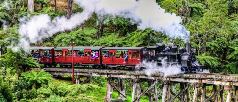 Melbourne: Puffing Billy & Healesville Sanctuary Scenic Tour - Healesville Sanctuary: Up Close with Australian Animals