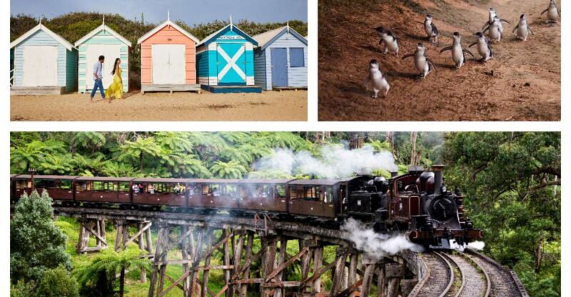 Melbourne: Puffing Billy Penguin Parade Brighton Boxes Tour - Key Points