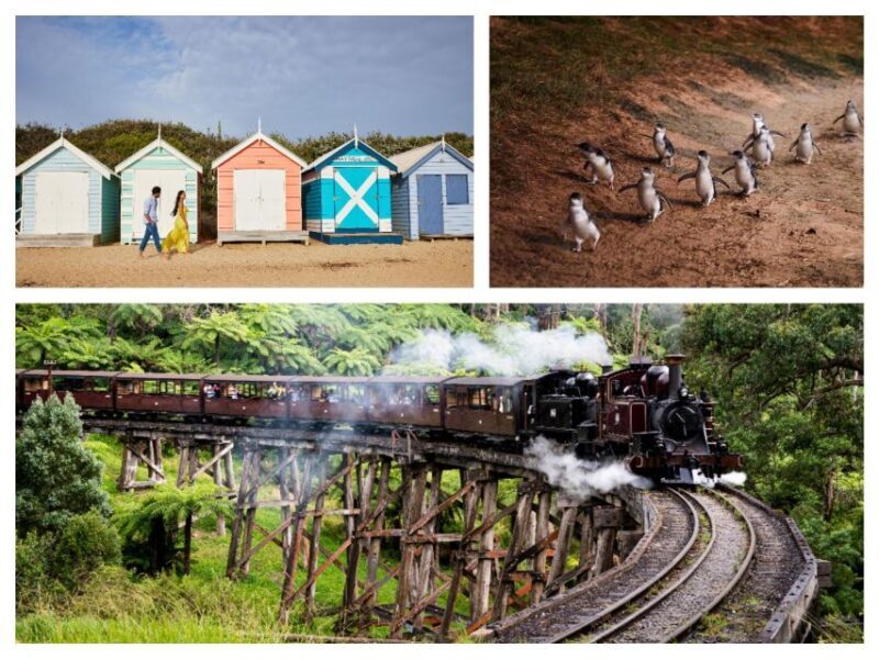 Melbourne: Puffing Billy Penguin Parade Brighton Boxes Tour - The Itinerary in Detail