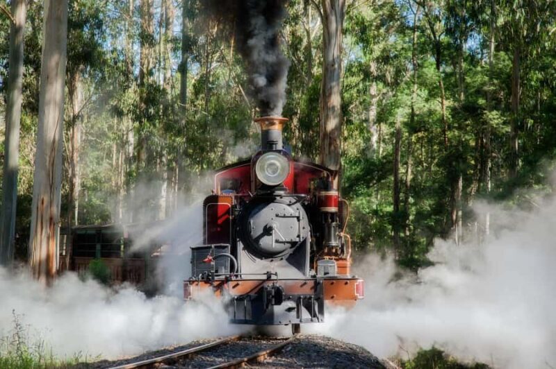 Melbourne Puffing Billy & Penguins Day Tour - Final Verdict