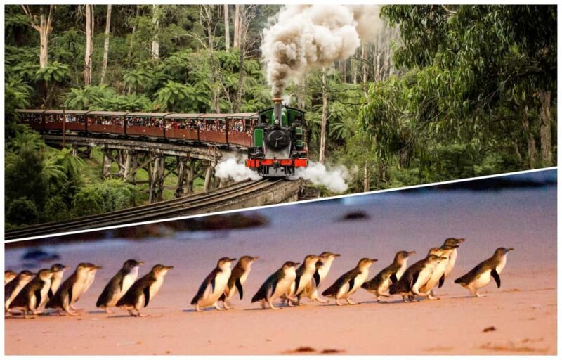 Melbourne: Puffing Billy Railway & Penguin Parade Day Tour - FAQ