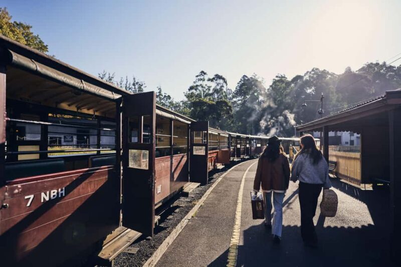 Melbourne: Puffing Billy Railway & Rainforest Tour - A Balanced Look at the Experience