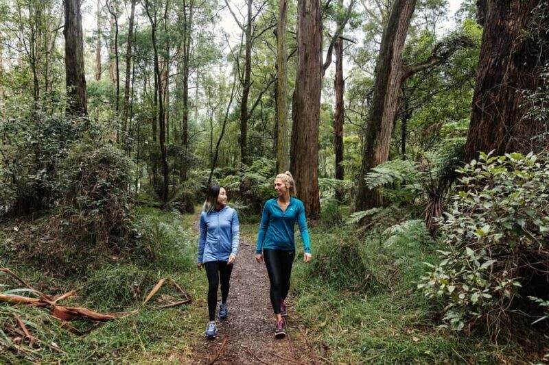Melbourne: Puffing Billy Railway & Rainforest Tour - FAQ