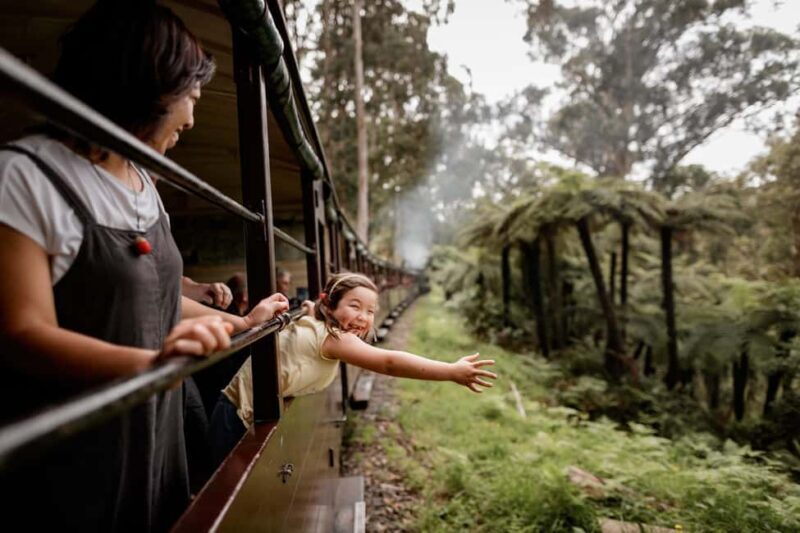 Melbourne: Puffing Billy Steam Train & Penguin Parade Tour - An Overview of the Tour