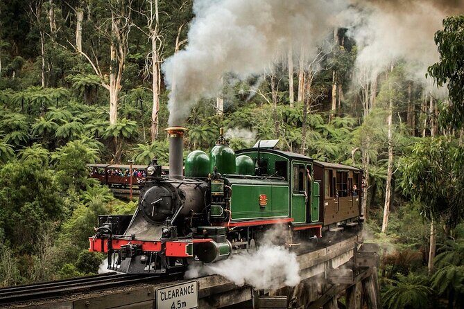 Melbourne Puffing Billy Train and Penguin Parade Day Tour Escape - A Closer Look at the Tour Experience