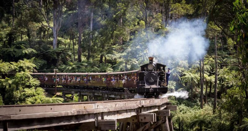 Melbourne: Puffing Billy Train & Penguin Island Excursion - Key Points