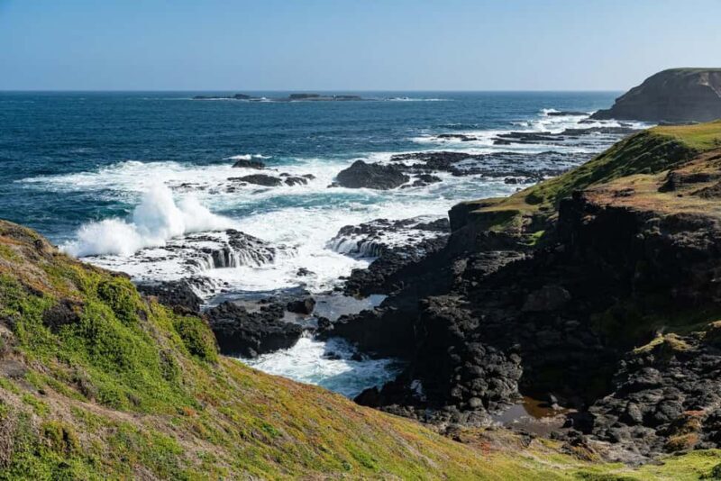 Melbourne: Puffing Billy Train & Penguin Island Excursion - FAQ