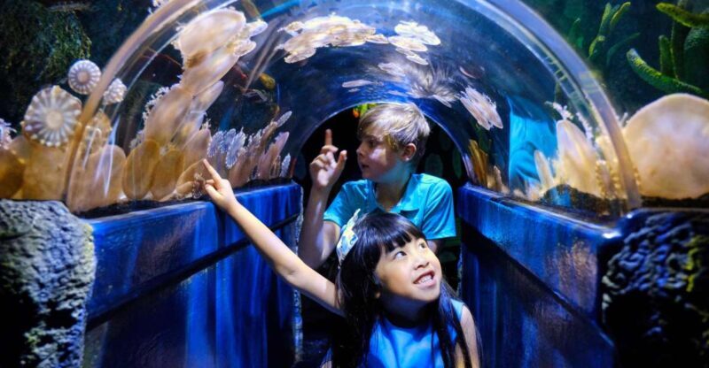 Melbourne: SEA LIFE Aquarium Entrance Ticket - The Sum Up