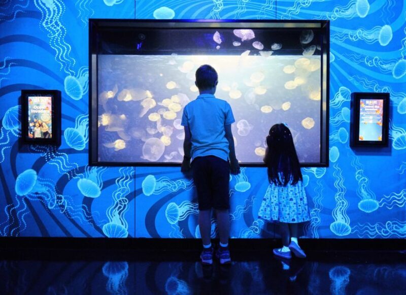 Melbourne: SEA LIFE Aquarium Entrance Ticket - FAQ