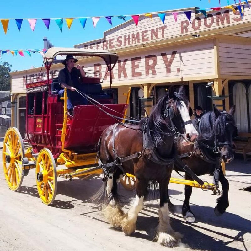 Melbourne: Sovereign Hill and Lake Ballarat Day Trip - Who Will Appreciate This Tour?