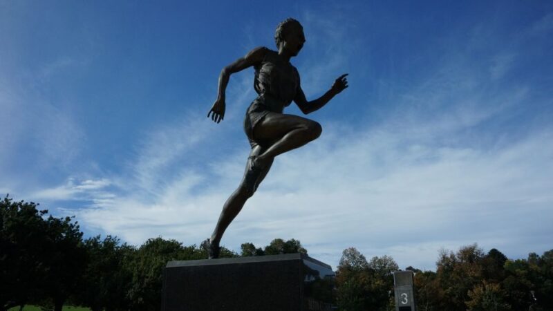 Melbourne Sports Walk - What to Expect and Practical Tips