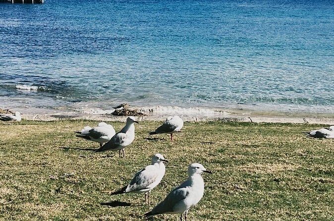 Melbourne: The Great Ocean Road Private Tour - Final Thoughts