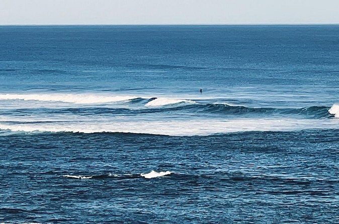 Melbourne: The Great Ocean Road Private Tour - FAQs