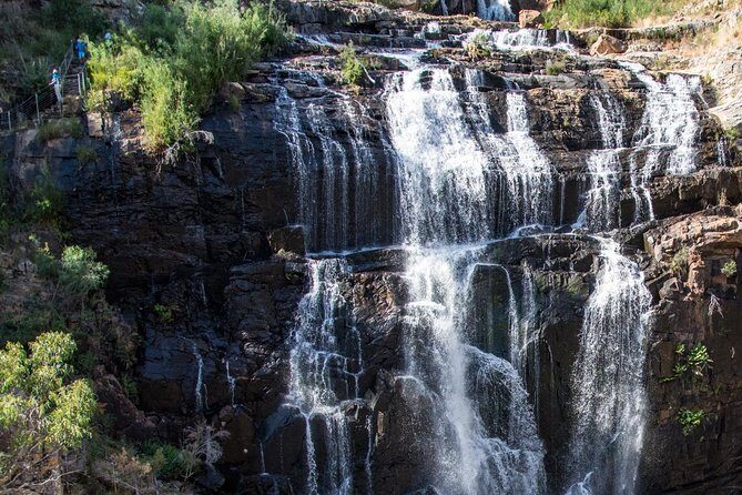 Melbourne to Adelaide 3 Day Southern Coast Overland Tour - Who Would Love This Tour?