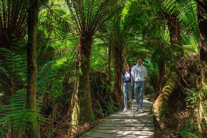 Melbourne to Great Ocean Road & Grampians 3 Day Escape - Key Points