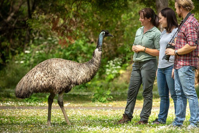 Melbourne to Great Ocean Road & Grampians 3 Day Escape - Wrapping Up