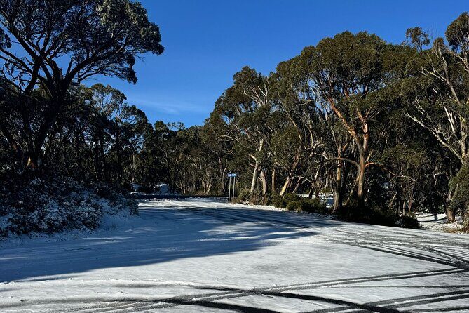 Melbourne: Ultimate Mt Baw Baw Snow Private Tour Experience. - Introduction to the Mt Baw Baw Snow Private Tour