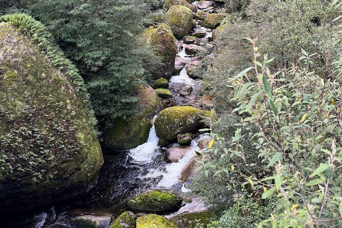 Melbourne: Ultimate Mt Baw Baw Snow Private Tour Experience. - The Experience from the Reviews